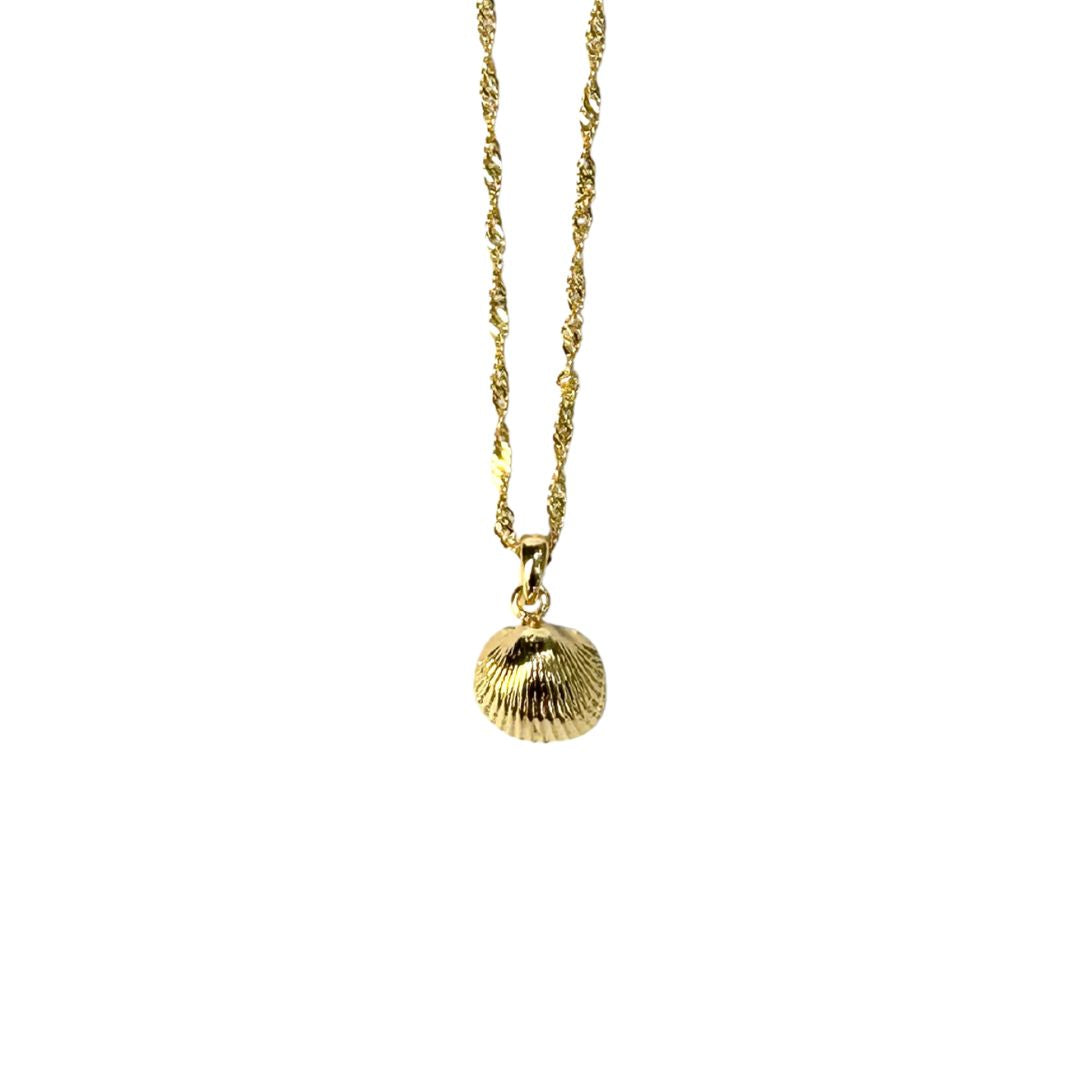 Colar Concha - Banho de Ouro 18k
